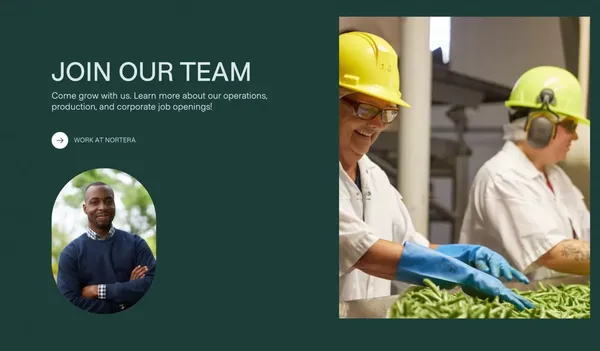Leader dans la transformation et la vente de légumes - Landing design inspiration