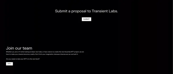 Transient Labs - Portfolio design inspiration