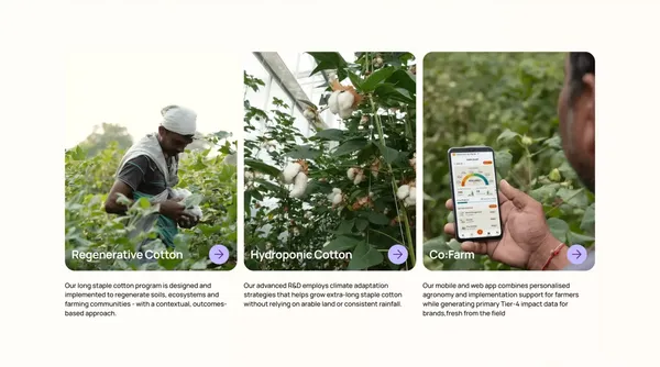 Materra 🌱 Future-Proof Cotton - Landing design inspiration