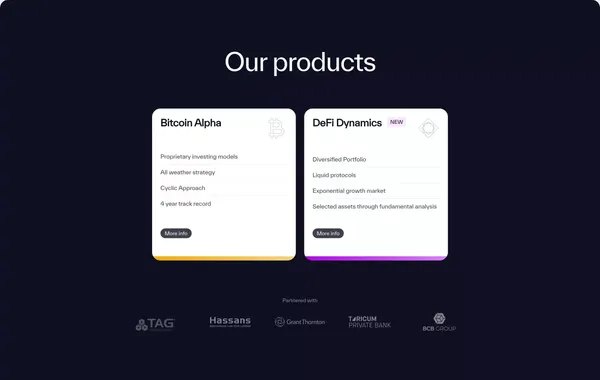 Evolving digital asset investment vehicle - Landing design inspiration