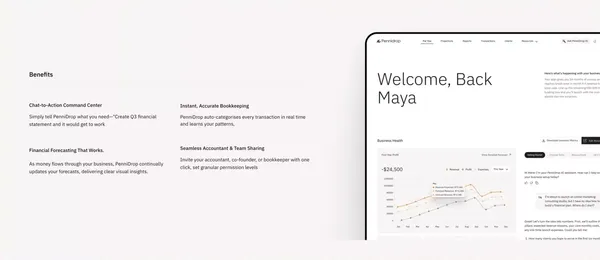 Pennidrop - Landing design inspiration