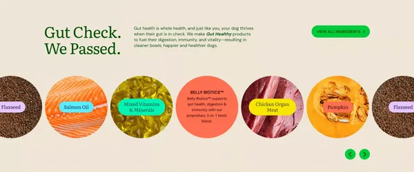 Radically Better Nutrition | Get Joy Food - Landing design inspiration