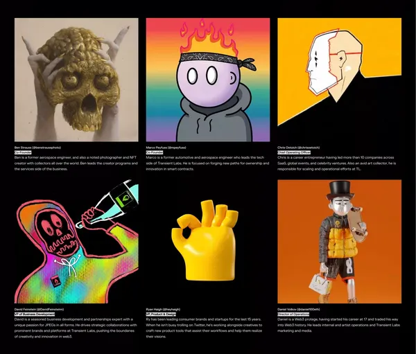 Transient Labs - Portfolio design inspiration