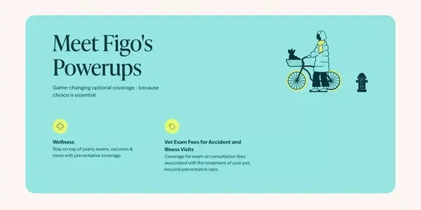 Rated Best Pet Insurance Plans | Figo Pet Insurance - Landing design inspiration