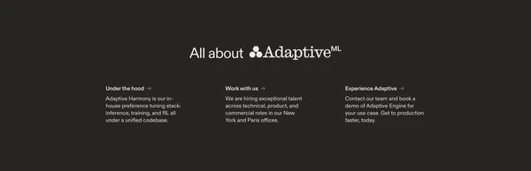 Adaptive ML - Landing design inspiration
