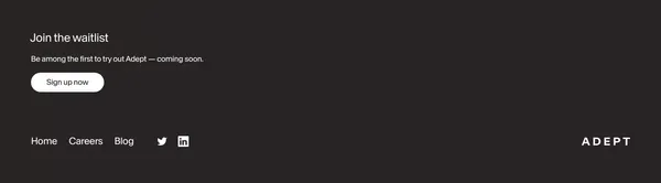 Adept: Useful General Intelligence - Landing design inspiration