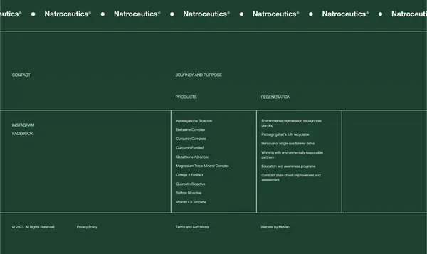 Natroceutics - Landing design inspiration