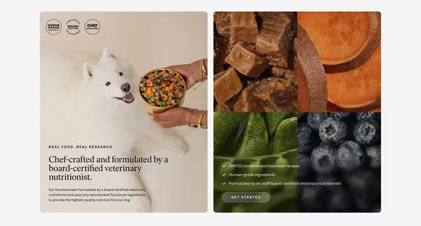 Fresh, Veterinarian-Formulated Dog Food Delivered | Golden Child - Landing design inspiration