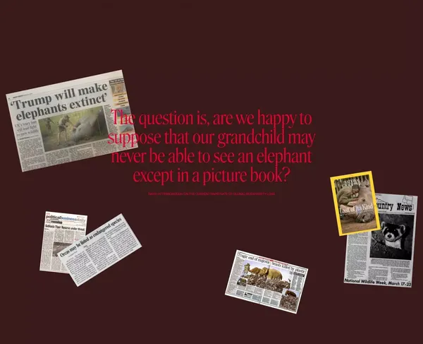 Critical Danger | Supporting Endangered Animals - Other design inspiration