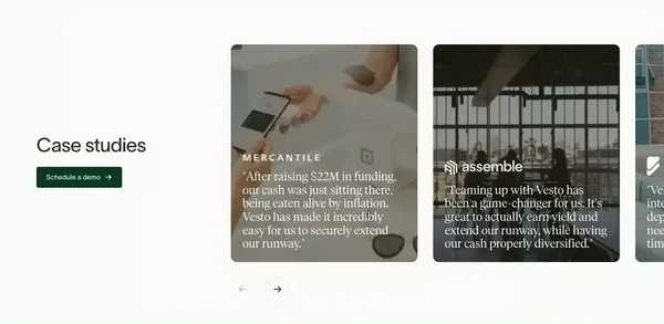 Vesto | Cash Management For Startups - Landing design inspiration