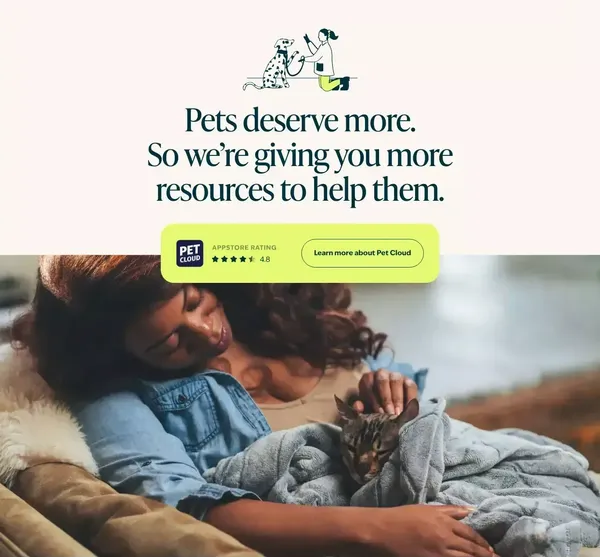 Rated Best Pet Insurance Plans | Figo Pet Insurance - Landing design inspiration
