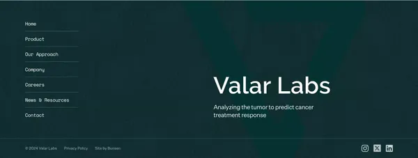 Analyzing the tumor to predict cancer treatment response - Landing design inspiration