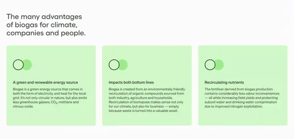 Your next partner in circular energy – Bigadan - Landing design inspiration