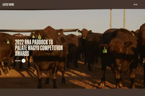 Smithfield Cattle Co. - Landing design inspiration