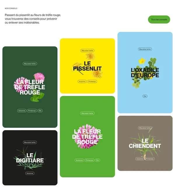 Vertdure, Quebec's #1 Lawn Care Company - Landing design inspiration