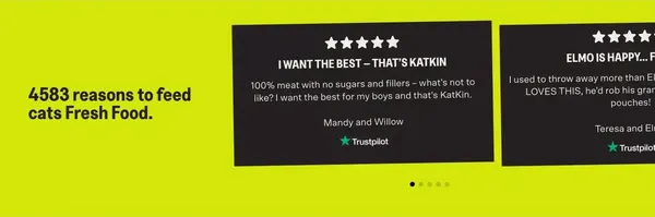 KatKin: Fresh Cat Food. Love Hard. Feed Fresh. - Landing design inspiration