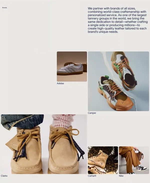 PrimeAsia - Landing design inspiration