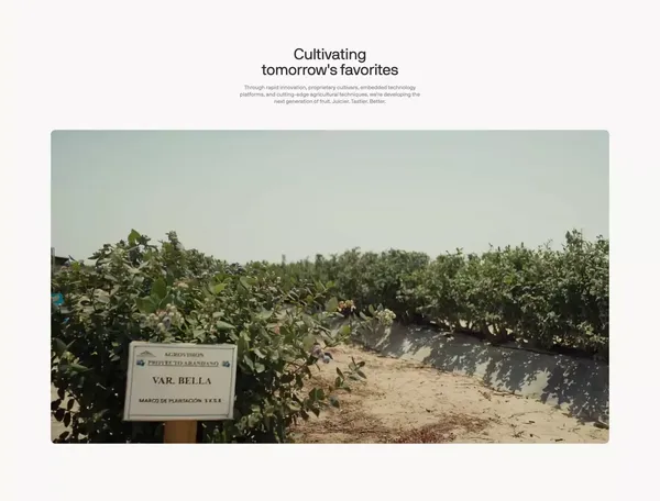 Agrovision - Landing design inspiration
