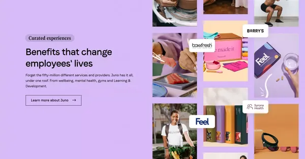 Juno | Empowering teams with flexible benefits - Landing design inspiration