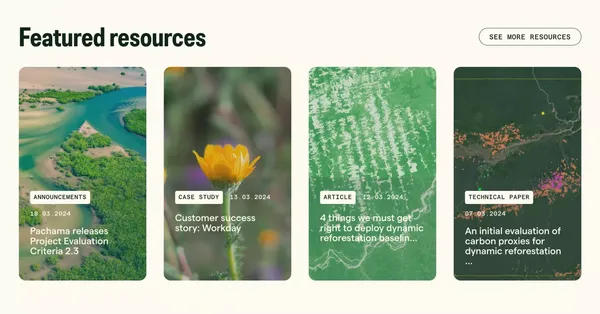 Pachama | Restore nature. Remove carbon. - Landing design inspiration