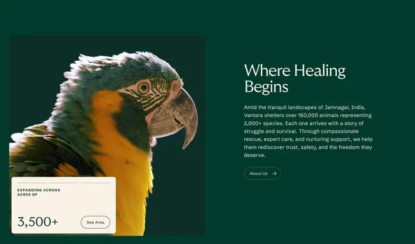 Global Wildlife Rescue and Conservation Centre in Jamnagar | Vantara - Landing design inspiration