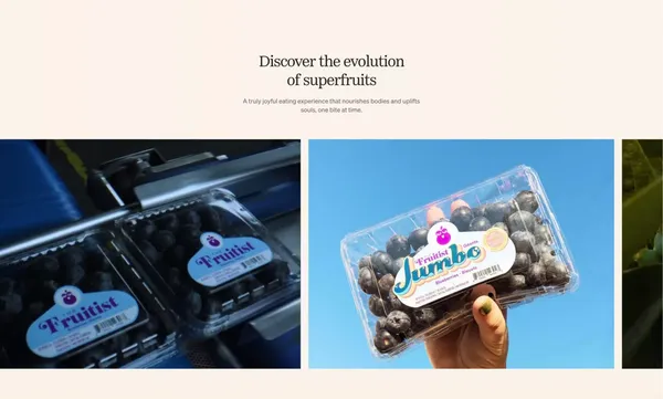 Agrovision - Landing design inspiration