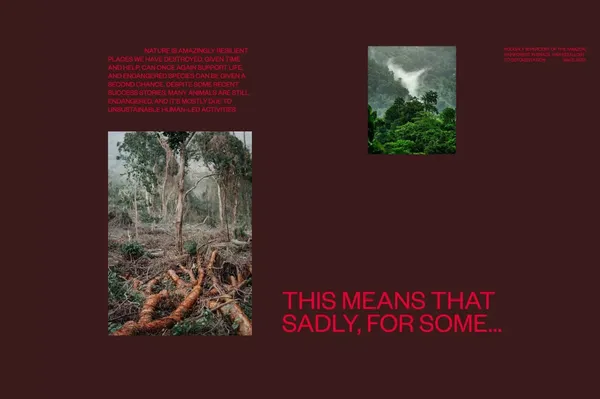 Critical Danger | Supporting Endangered Animals - Other design inspiration