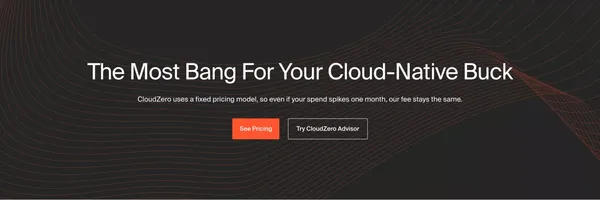 CloudZero: The Cloud Cost Intelligence Platform - Landing design inspiration