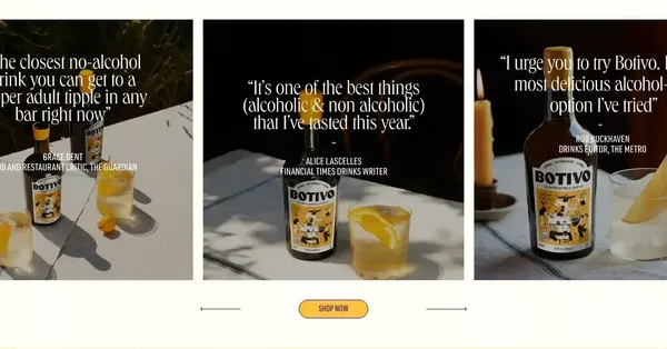 Botivo - Landing design inspiration
