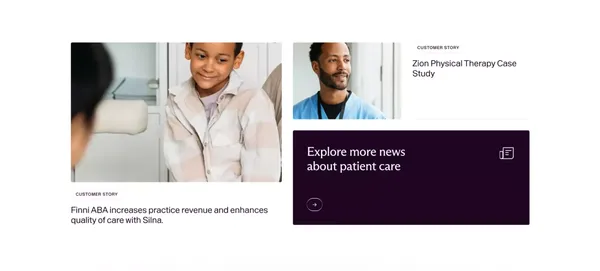 Silna Health - Landing design inspiration