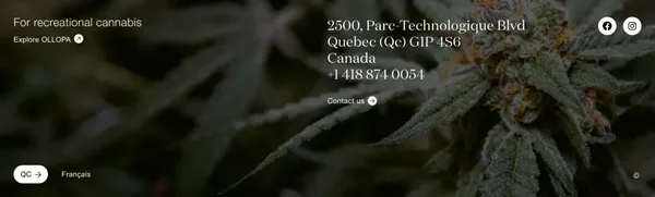 Take care of yourself with our medical cannabis products | Oovie - Landing design inspiration