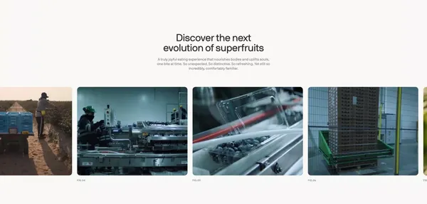 Agrovision - Landing design inspiration