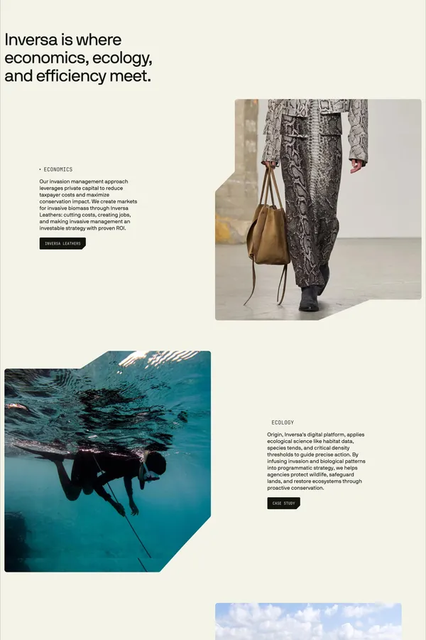 INVERSA - Landing design inspiration