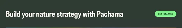 Pachama | Restore nature. Remove carbon. - Landing design inspiration