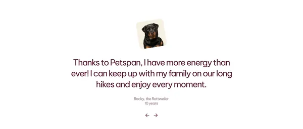 Rapamycin for Cats and Dogs: Prescription Pet Longevity Solutions for a Healthier, Longer Life - Landing design inspiration