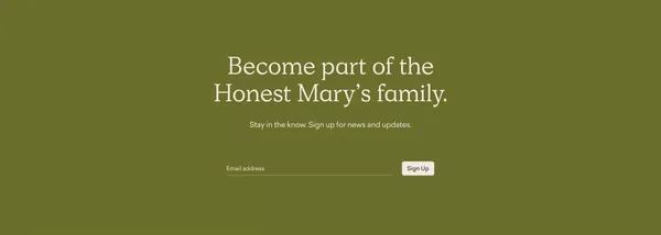 Honest Mary's - Landing design inspiration