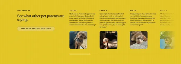 Fresh, Veterinarian-Formulated Dog Food Delivered | Golden Child - Landing design inspiration