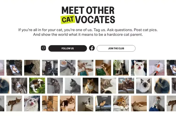 KatKin: Fresh Cat Food. Love Hard. Feed Fresh. - Landing design inspiration
