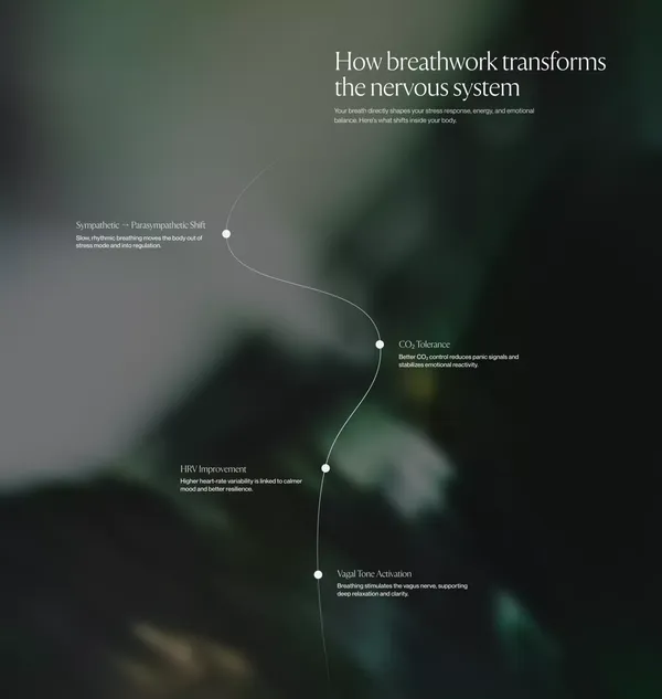 Frequency Breathwork - Landing design inspiration