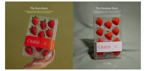 Oishii - Landing design inspiration