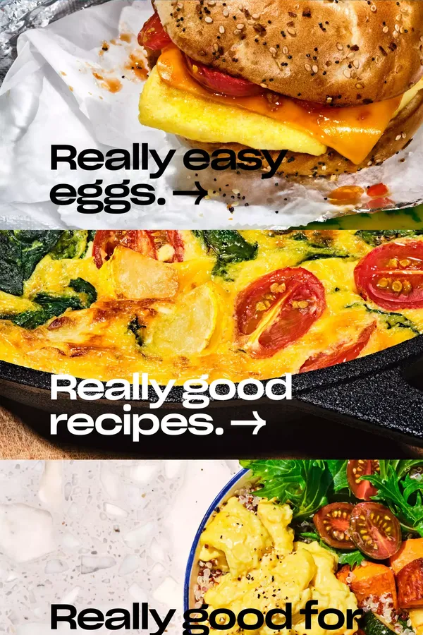 JUST Egg | Home - Landing design inspiration