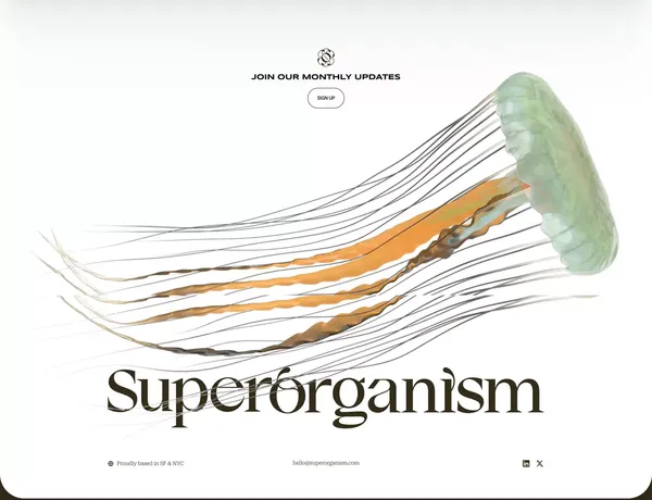 Superorganism - Portfolio design inspiration