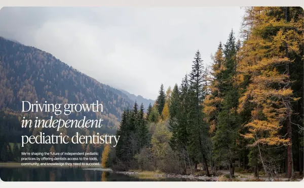 Fireside | Empowering Pediatric Dentists with Community & Resources - Landing design inspiration