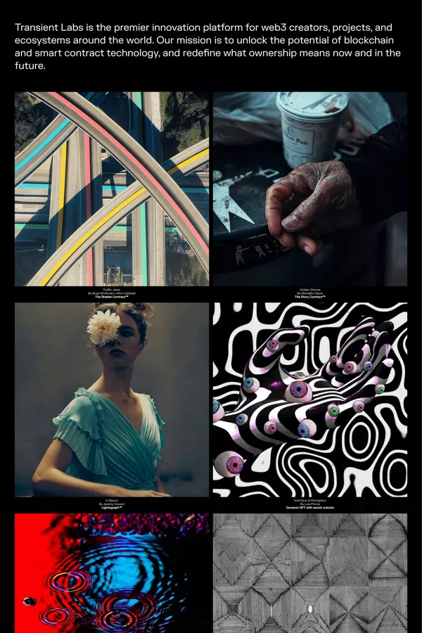 Transient Labs - Portfolio design inspiration