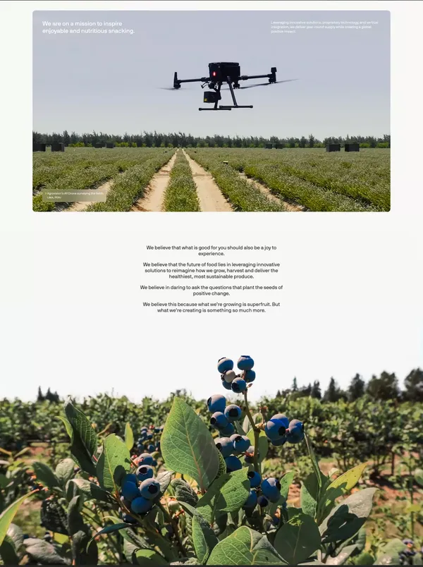 Agrovision - Landing design inspiration