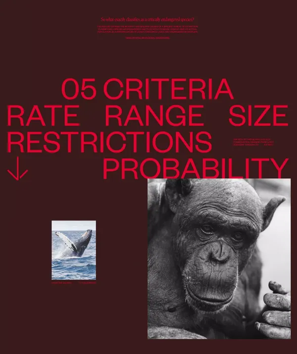 Critical Danger | Supporting Endangered Animals - Other design inspiration