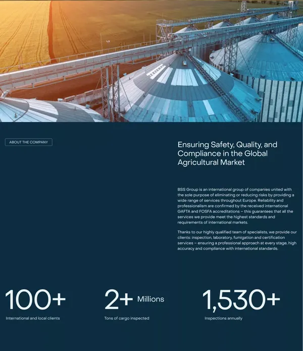 Independent surveying and inspection services â BSS Group - Landing design inspiration
