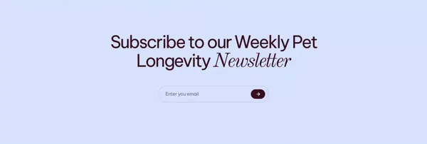 Rapamycin for Cats and Dogs: Prescription Pet Longevity Solutions for a Healthier, Longer Life - Landing design inspiration