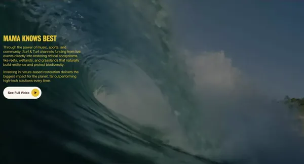 Surf & Turf - Landing design inspiration