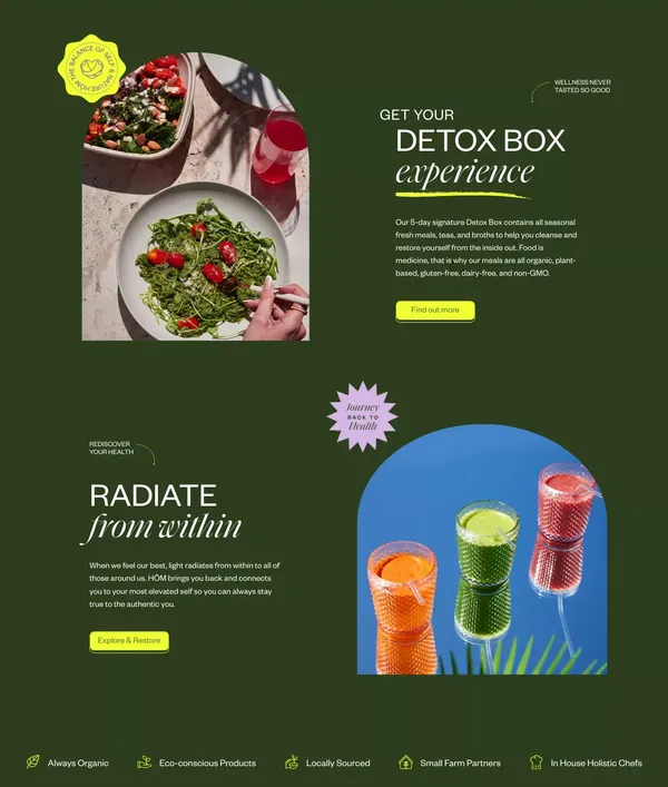 HŌM Wellness - Landing design inspiration